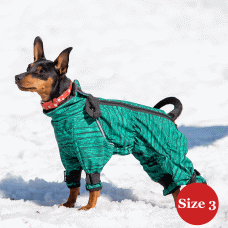 DIEGO snow F «Зелений» - 3-розмір