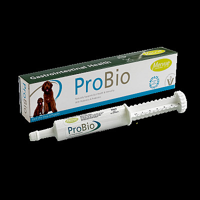 ProBio paste, 60 ml