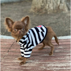 DIEGO hoodie «Смужка» - xs