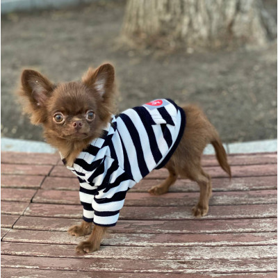 DIEGO hoodie «Смужка» - xs