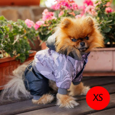 Diego mini snow M "Бузковий" - xs