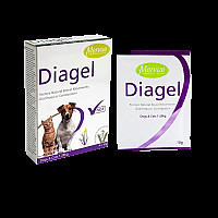 Diagel 10 g - 1 пакет
