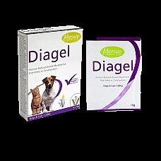 Diagel 10 g – 1 пакет