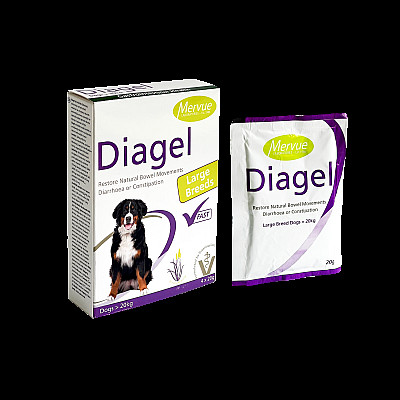 Diagel 20 g - 1 пакет