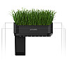 Аквариумный набор (1)