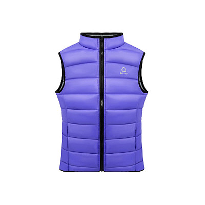 Жилет Сollar Vest чоловічий, розмір XL, фіолетово-сірий