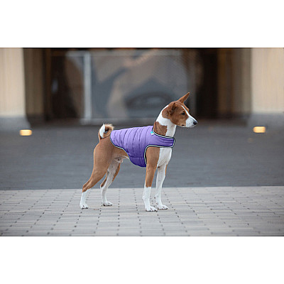 Куртка-накидка для собак AiryVest, L, B 58-70 см, С 42-52 см фиолетовый