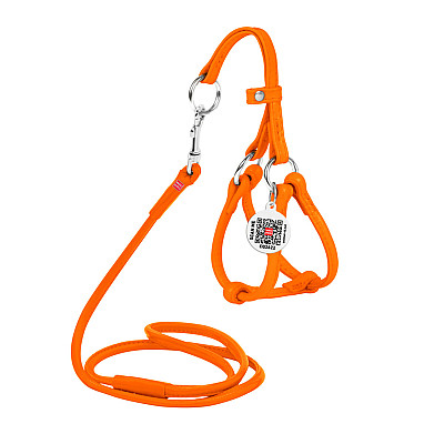 Шлей с поводком для собак кожаный WAUDOG Glamour с QR паспортом, круглый, Д 6 мм, А 26-46 см, В 30-50 см оранжевый