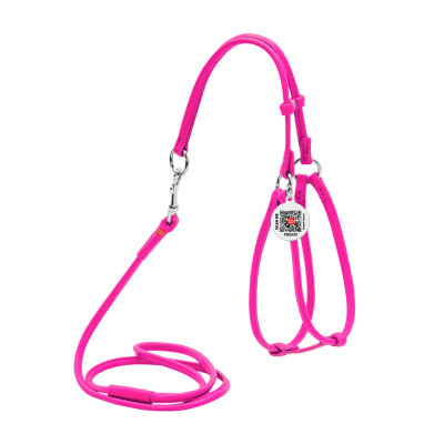 Шлей с поводком для собак кожаный WAUDOG Glamour с QR паспортом, круглый, Д 6 мм, А 42-60 см, В 46-64 см розовый