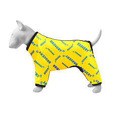 Ветровка для собак WAUDOG Clothes ,рисунок "Смелость", S40, В 56-59 см, С 37-40 см
