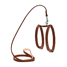 Шлей "CoLLaR" с поводком для малых собак (ширина 14мм, дл. 122см) коричневый