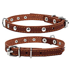 Ошейник &Cot;CoLLaR одинарный с украшениями (ширина 14мм, длина 27-35см) коричневый