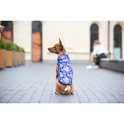 Курточка для собак WAUDOG Clothes рисунок "Год и Морти 1", M50, В 76-79 см, С 55-61 см