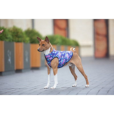Курточка для собак WAUDOG Clothes рисунок "Год и Морти 1", M50, В 76-79 см, С 55-61 см