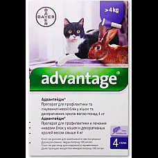 Капли Bayer Advantage Адвантейдж 80 от заражений блохами для кошек, котят и декоративных кроликов быльше 4 кг, 4 пипетки