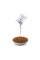 Пробиотик Purina Pro Plan Veterinary Diets FortiFlora Feline Probiotic для поддержания микрофлоры ЖКТ, для кошек и котят, 30х1 г